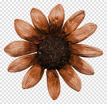 Dry flower transparent background PNG clipart
