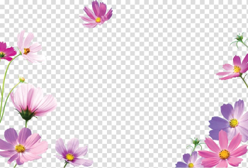 Frames Desktop , flower transparent background PNG clipart