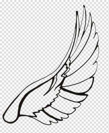 Columbidae Drawing Line art , wings transparent background PNG clipart