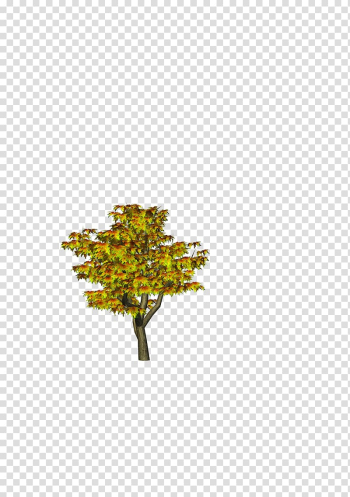 Tree PicsArt Studio , tree transparent background PNG clipart