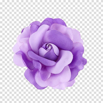Violet Purple Flower, Purple flower transparent background PNG clipart