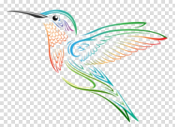 Hummingbird , Animation transparent background PNG clipart
