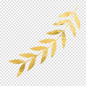 Leaves illustration, Gold leaf Twig, gold transparent background PNG clipart