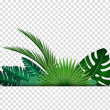 Green leaves illustration, Leaf Tropics , Banana leaf background transparent background PNG clipart