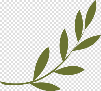 Olive branch Peace symbols Olive wreath, symbol transparent background PNG clipart
