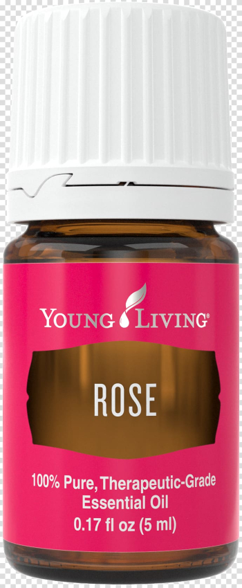 Young Living Rose oil Essential oil Damask rose, oil transparent background PNG clipart