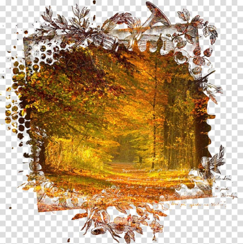 Autumn Digital Desktop , autumn transparent background PNG clipart