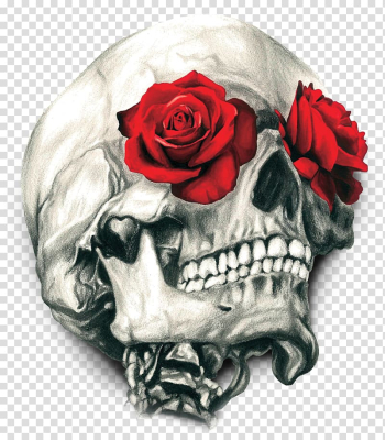 Gray skull with red rose eyes illustration, T-shirt Human skull symbolism Rose Calavera, T-shirt transparent background PNG clipart