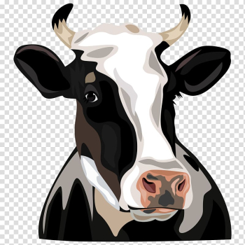 Black, white, and brown cow illustration, Holstein Friesian cattle , Cow Head transparent background PNG clipart