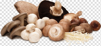 Edible mushroom Common mushroom Shiitake Vegetable Hen-of-the-wood, Fresh and healthy mushroom transparent background PNG clipart