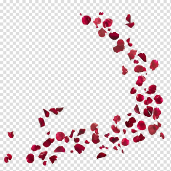 Red rose petals background template, Petal Flower, rose petals transparent background PNG clipart