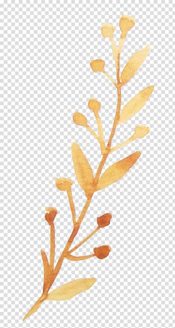 Brown leaf, Watercolor painting Flower Illustration, Watercolor flowers transparent background PNG clipart