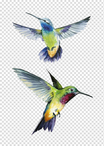 Two blue and green hummingbirds, Art Painting Floral design AllPosters.com, audit transparent background PNG clipart