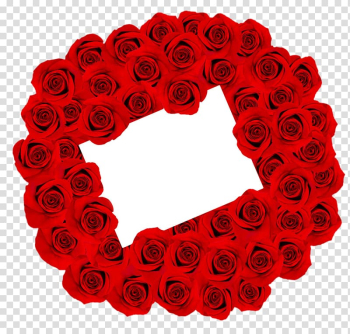 Rose frame, Love Rose transparent background PNG clipart