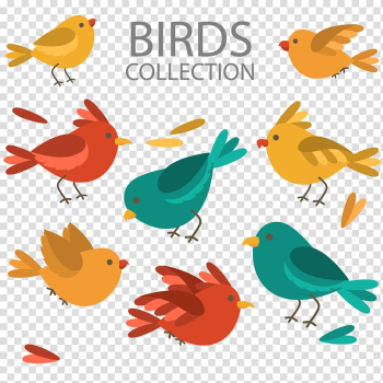 Lovebird Feather Illustration, Color cartoon bird design material transparent background PNG clipart
