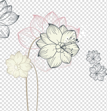 Flower Euclidean Nelumbo nucifera Illustration, Hand-drawn line lotus transparent background PNG clipart