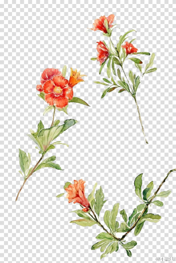 Illustration of green leafed plants with red flowers, Watercolour Flowers Floral design Watercolor painting Drawing, Watercolor flowers transparent background PNG clipart