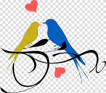 Lovebird , yellow pumpkin green strings branches transparent background PNG clipart
