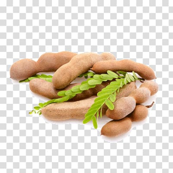 Tamarind Seed Fruit tree, others transparent background PNG clipart