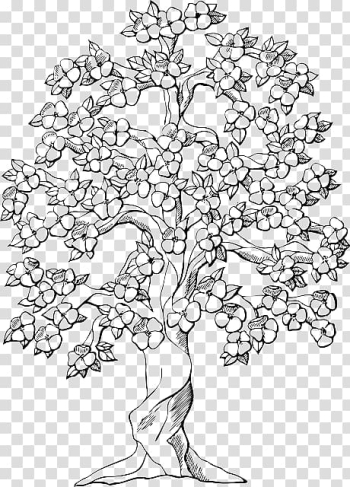Coloring book Colouring Pages Tree Oak Trunk, eating grapes sketch transparent background PNG clipart