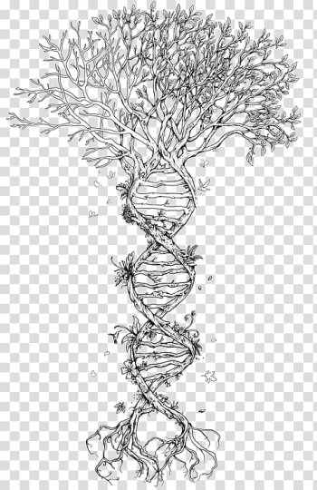 The Double Helix: A Personal Account of the Discovery of the Structure of DNA Tree Nucleic acid double helix Genetics, watercolor colorful tree of life transparent background PNG clipart