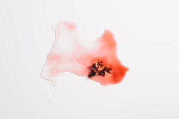 Little Flower Heads and Red Watercolor PaintÂ  Â· Free Stock Photo