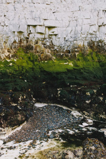 Green Moss on Gray Rock Â· Free Stock Photo