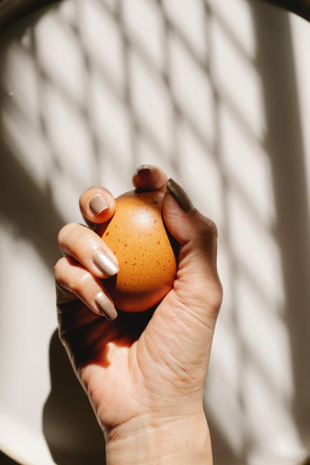 Crop unrecognizable woman grasping brown egg Â· Free Stock Photo