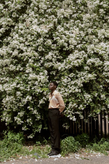 Black person standing near blooming tree in garden · Free Stock Photo