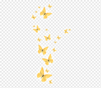 Butterfly, Golden butterfly, yellow butterfly, png Material, angle, golden Frame png
