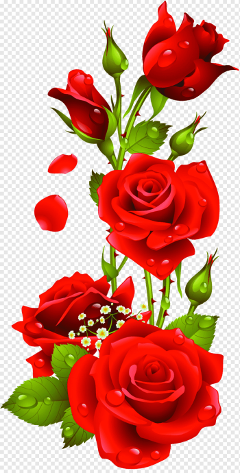 red roses illustration, Rose, Rose, love, flower Arranging, heart png
