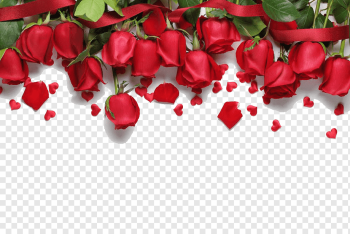 Love song Romance, Red roses background, love, wedding, heart png