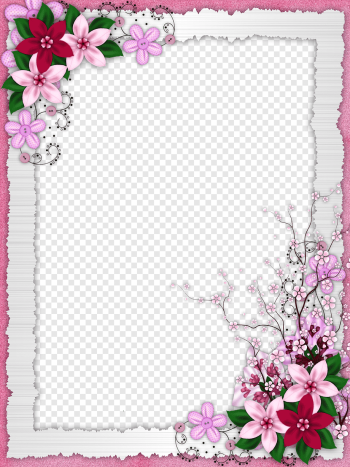 white, pink, and green floral frame, Flower frame, Floral border design, border, frame, flower Arranging png