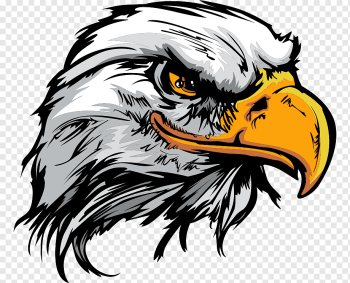 Bald Eagle Logo, cartoon eagle, animals, carnivoran, vertebrate png