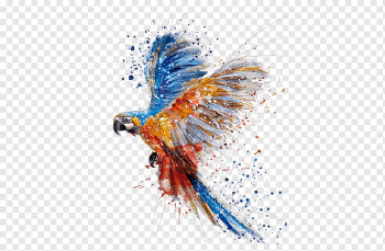 Parrot Bird Watercolor painting Drawing, parrot, color Splash, splash, animals png