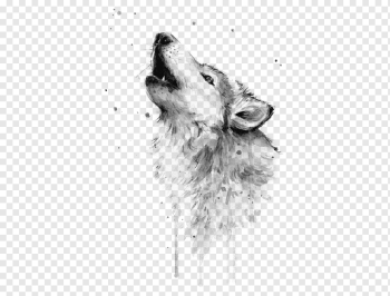 Watercolor painting Gray wolf Art Drawing, watercolor fox, carnivoran, dog Like Mammal, monochrome png