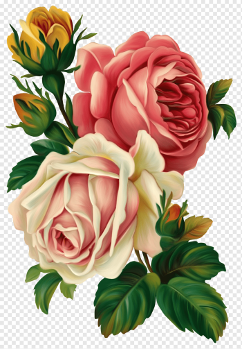 pink and white roses illustration, Rose Flower Vintage clothing Pink, painted flowers, flower Arranging, floribunda, artificial Flower png