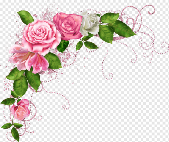 pink and white rose flowers border art, Flower Frames, flower border, watercolor Painting, flower Arranging, flower png