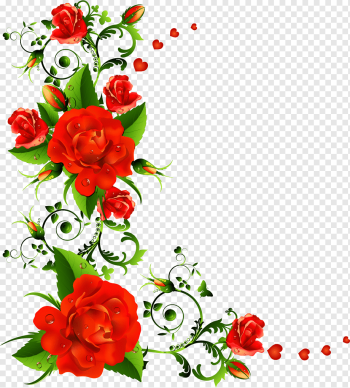 Rose Flower, flower border, flower Arranging, flower, flowers png