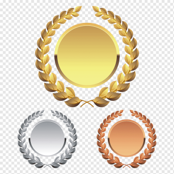 Laurel wreath graphy Illustration, Gold and silver bronze design, gold Coin, medal, happy Birthday Vector Images png