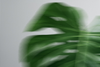 Nature background with leaf behind patternedâ¦ | Free stock photo | High Resolution image