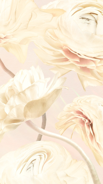 Aesthetic background, trippy beige buttercupâ¦ | Free stock illustration | High Resolution graphic