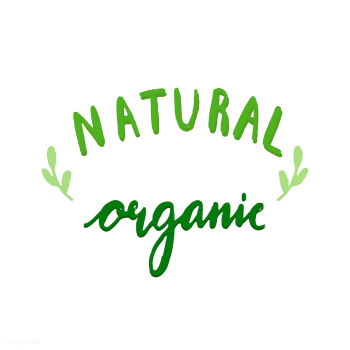 Natural organic typography vector in green | Free stock vector - 472328