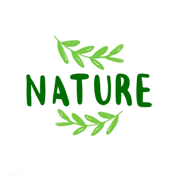 Nature typography vector in green | Free stock vector - 472517