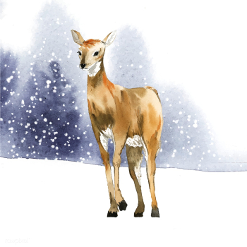 Female deer painted by watercolor vector | Free stock vector - 489579