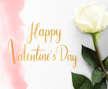 Valentines card with rose | Free stock photo - 560089