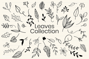 Hand drawn leaves set | Free stock vector - 580400
