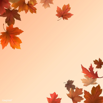 Autumn leaves background | Free stock illustration - 599697