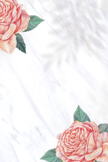 Rose border background, peach aesthetic | Free Photo - rawpixel