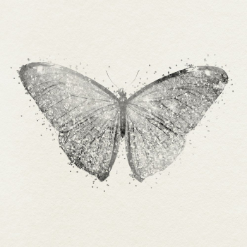 Glitter butterfly illustration  | Free Photo - rawpixel
